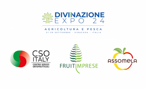 L’ortofrutta italiana al G7 di Siracusa con Assomela, CSO Italy e Fruitimprese   