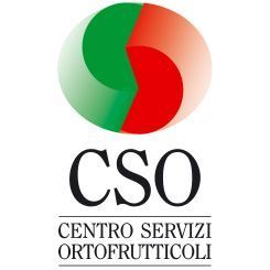 Assomela Società Cooperativa partnership CSO